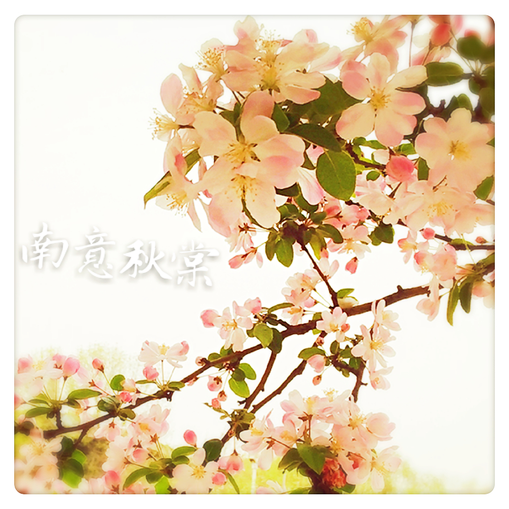 品牌故事
